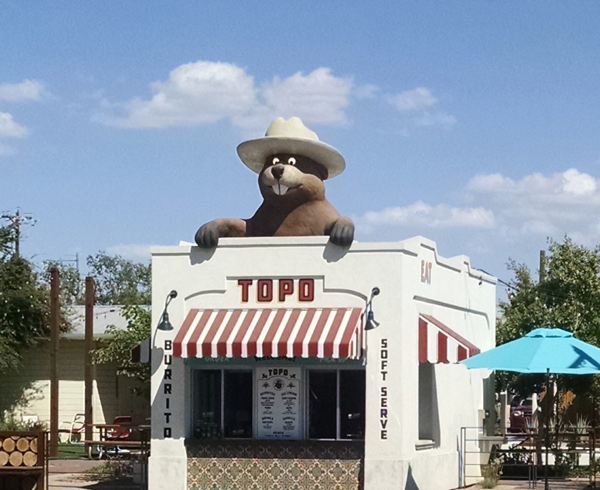 Gilbert Gopher Gopher In Gilbert